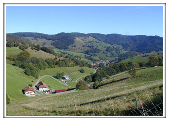 Wieden Weitblick